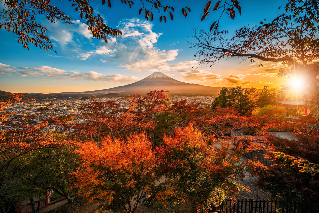【2025】Unmissable Tokyo: Top 20 Spots in Japan to Visit