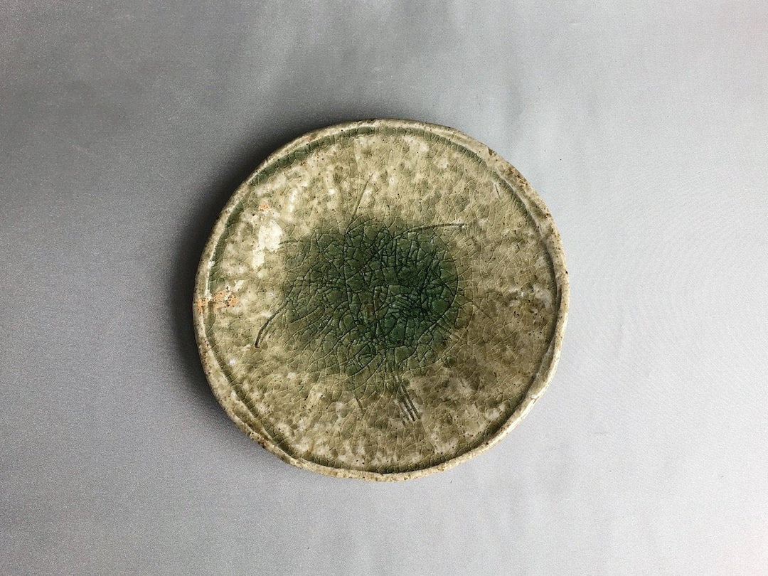 Vidro grass Pattern 5-Sun Plate - Crafted By Nobumasa Kiminami