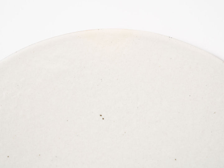 Iron-Speckled Flat Plate — Hand-Glazed Japanese Pottery by Furutani Pottery