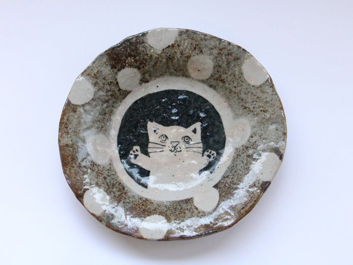 Mouse Shino Cat Polka Dot Pattern 7-Sun Shallow Bowl - Crafted By Hiroshi Sato