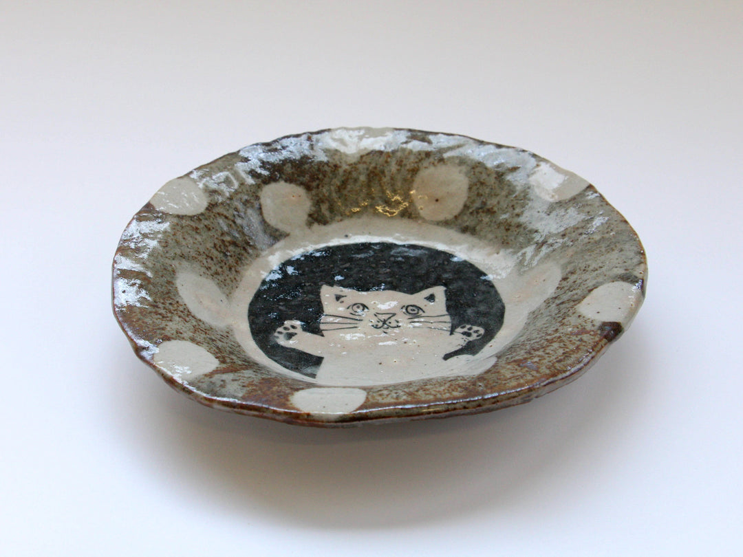 Mouse Shino Cat Polka Dot Pattern 7-Sun Shallow Bowl - Crafted By Hiroshi Sato