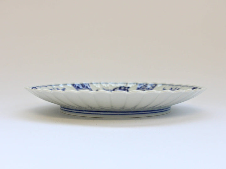 Blue & White Fuyo Chrysanthemum Plate 21cm - Crafted By Kaji-ken Seiji