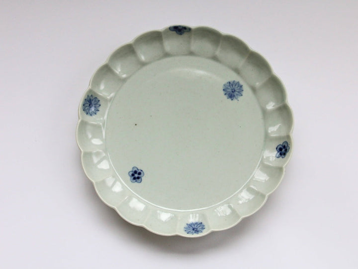 Chrysanthemum-Edged 7-Sun Plate with Underglazed Small Flower Chirashi Richo - Crafted By Koyo Kiln