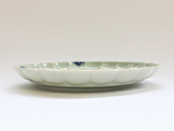 Chrysanthemum-Edged 7-Sun Plate with Underglazed Small Flower Chirashi Richo - Crafted By Koyo Kiln