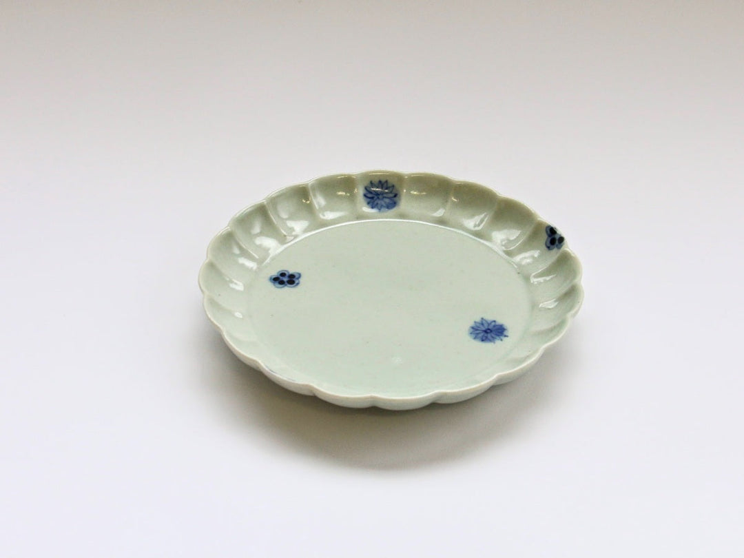Chrysanthemum 5-Sun Plate Blue and White Small Flower Chirashi Richo - Crafted By Koyo Kiln