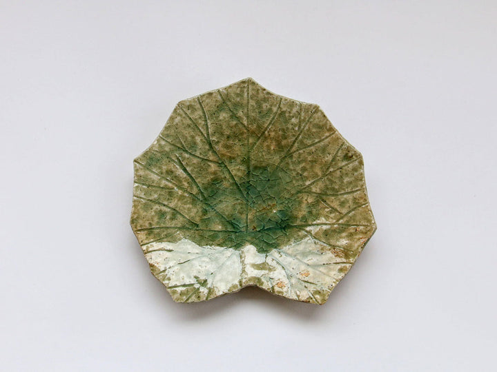 Vidro Lotus Leaf Plate (Small) - Crafted By Nobumasa Kiminami