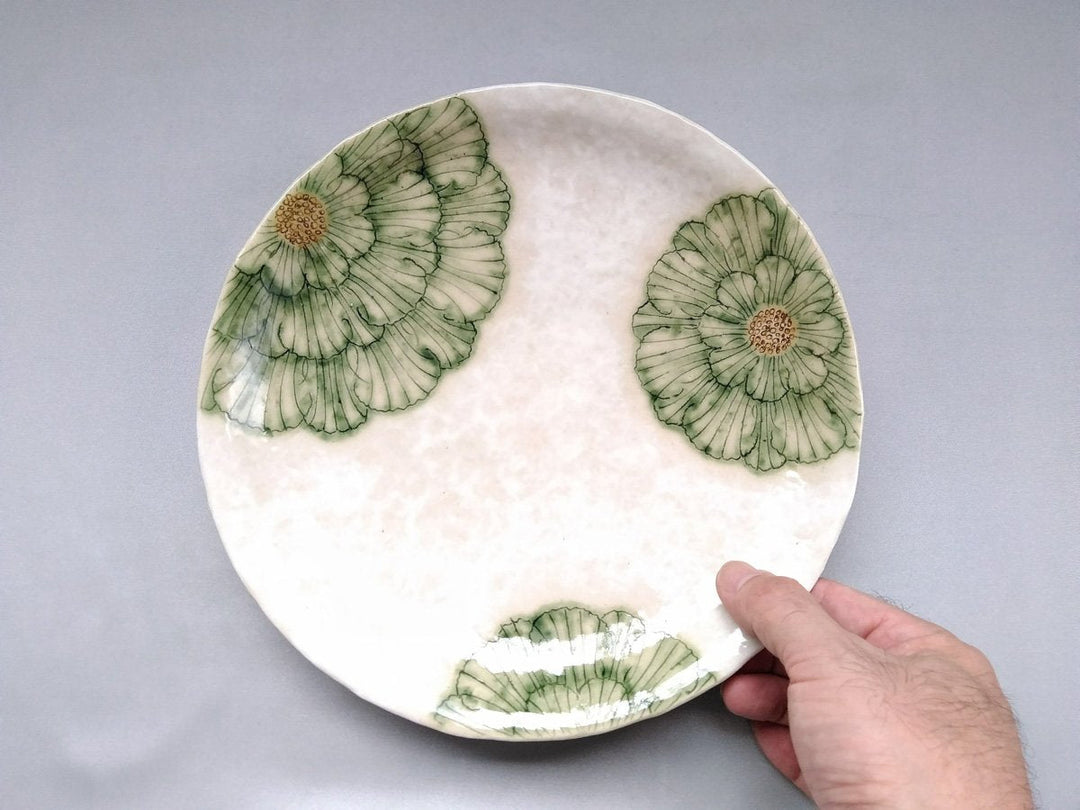 White Slip Peony 7.5-Sun Round Plate Green - Crafted By Yohei Kato