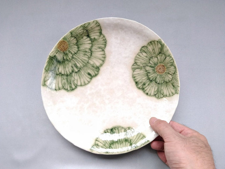 White Slip Peony 7.5-Sun Round Plate Green - Crafted By Yohei Kato