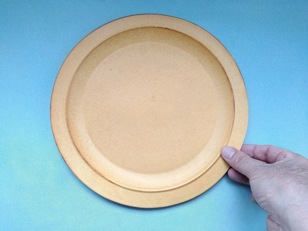 Color Matte Rim Plate Large Yellow - Crafted By Takuya Ohara