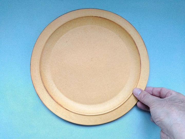 Color Matte Rim Plate Large Yellow - Crafted By Takuya Ohara