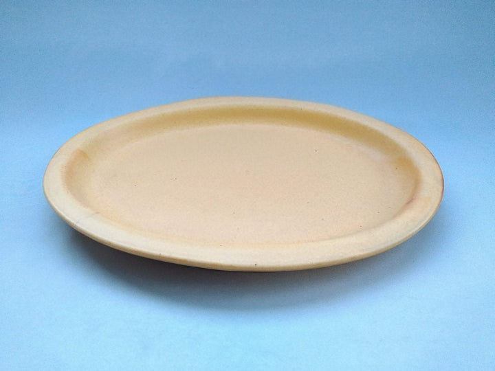 Color Matte Oval Plate L Yellow - Crafted By Takuya Ohara