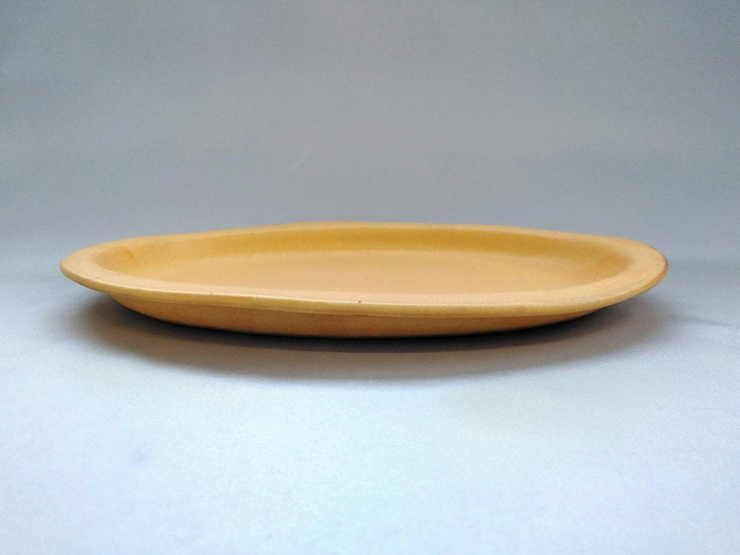 Color Matte Oval Plate L Yellow - Crafted By Takuya Ohara
