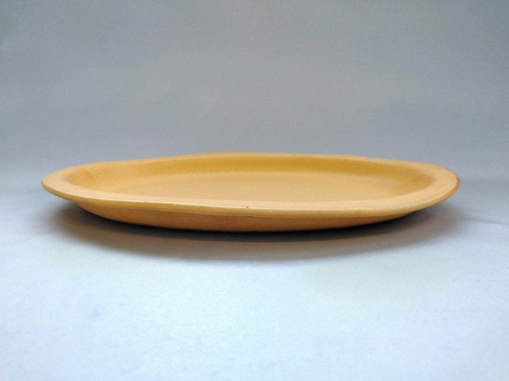 Color Matte Oval Plate L Yellow - Crafted By Takuya Ohara