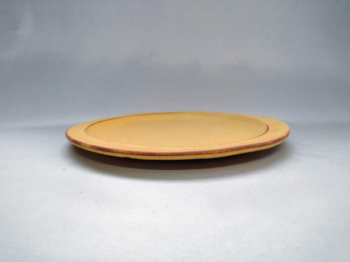 Color Matte Rim Plate Yellow - Crafted By Takuya Ohara