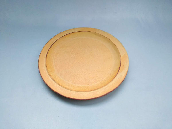 Color Matte Rim Plate Yellow - Crafted By Takuya Ohara