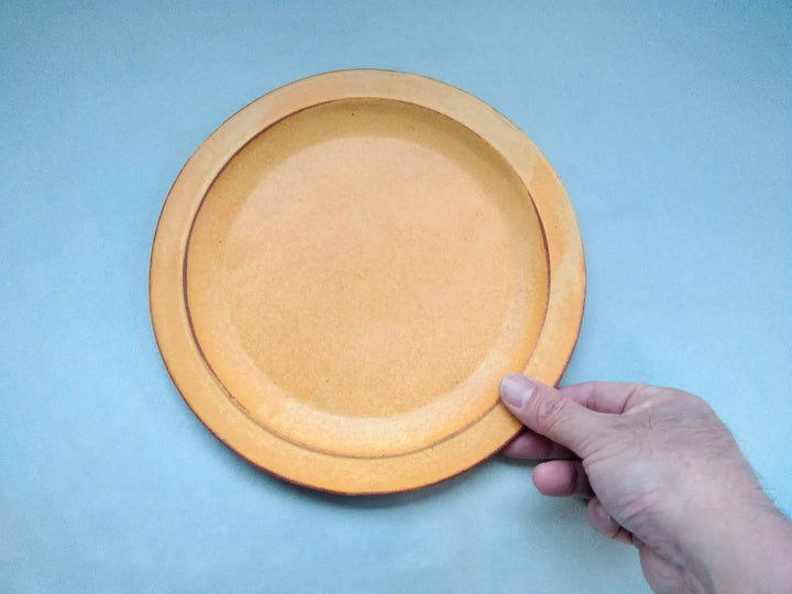 Color Matte Rim Plate Yellow - Crafted By Takuya Ohara