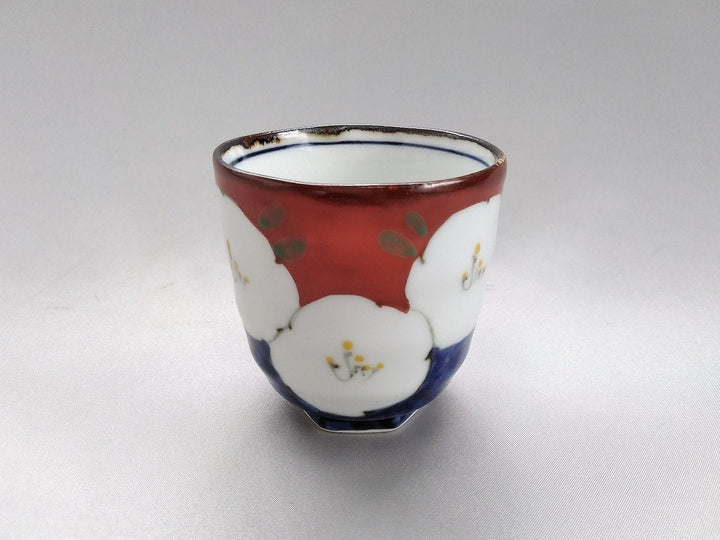 Dark Flower Hexagonal hill Tea Cup Red — Hand-Painted Japanese Pottery by Fukuho Kiln