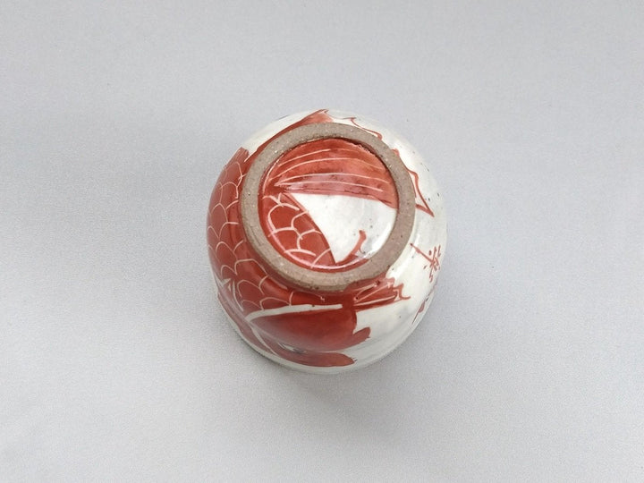 Shrimp and sea bream Tea Cup Red — Hand-Glazed Japanese Pottery by Pottery Raku