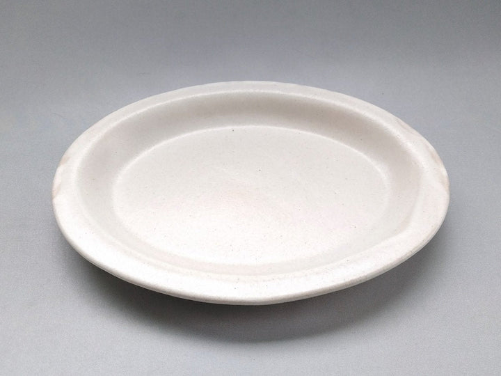 Color Matte Oval Plate M White - Crafted By Takuya Ohara