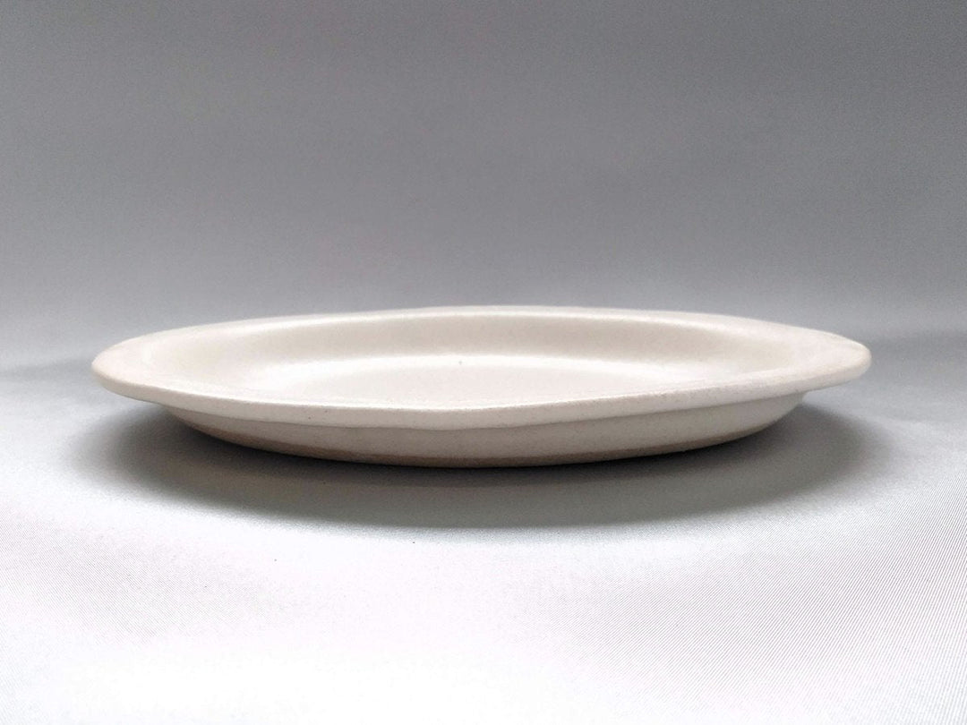 Color Matte Oval Plate M White - Crafted By Takuya Ohara