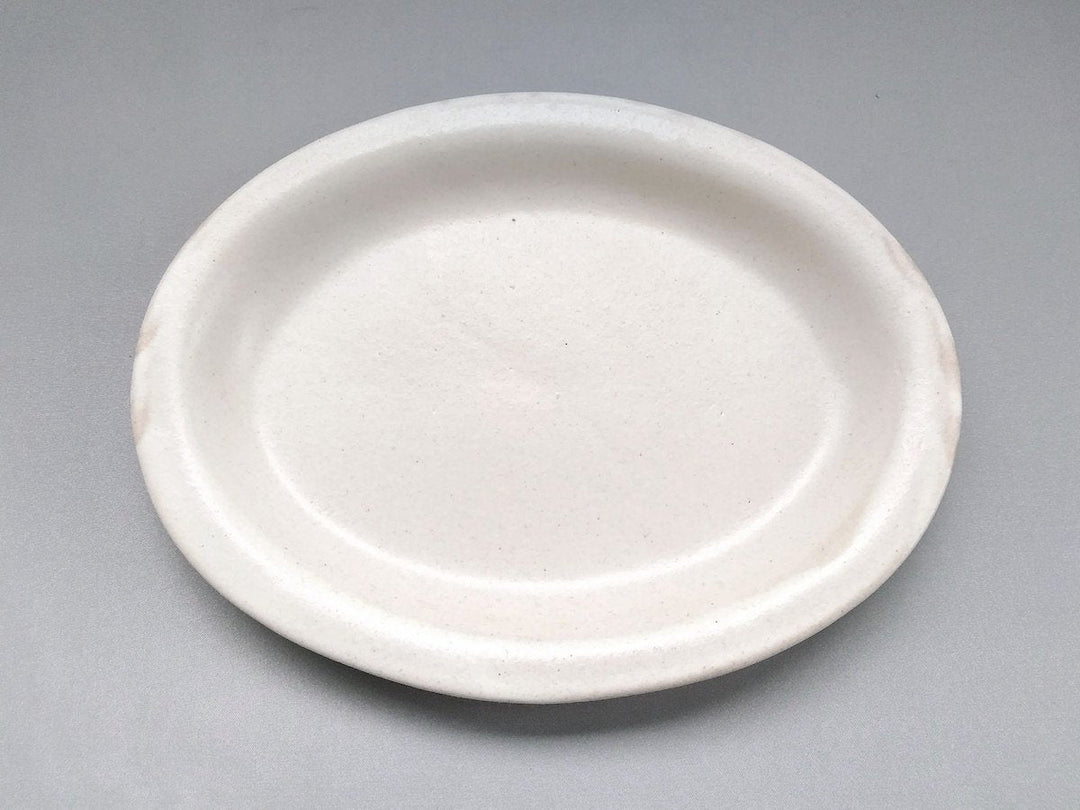 Color Matte Oval Plate M White - Crafted By Takuya Ohara