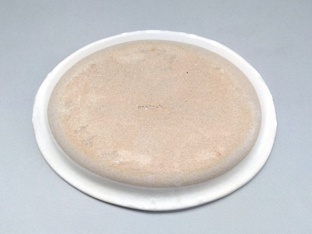 Color Matte Oval Plate M White - Crafted By Takuya Ohara
