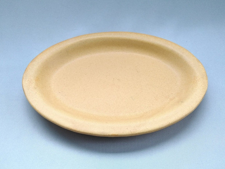 Color Matte Oval Plate M Yellow - Crafted By Takuya Ohara