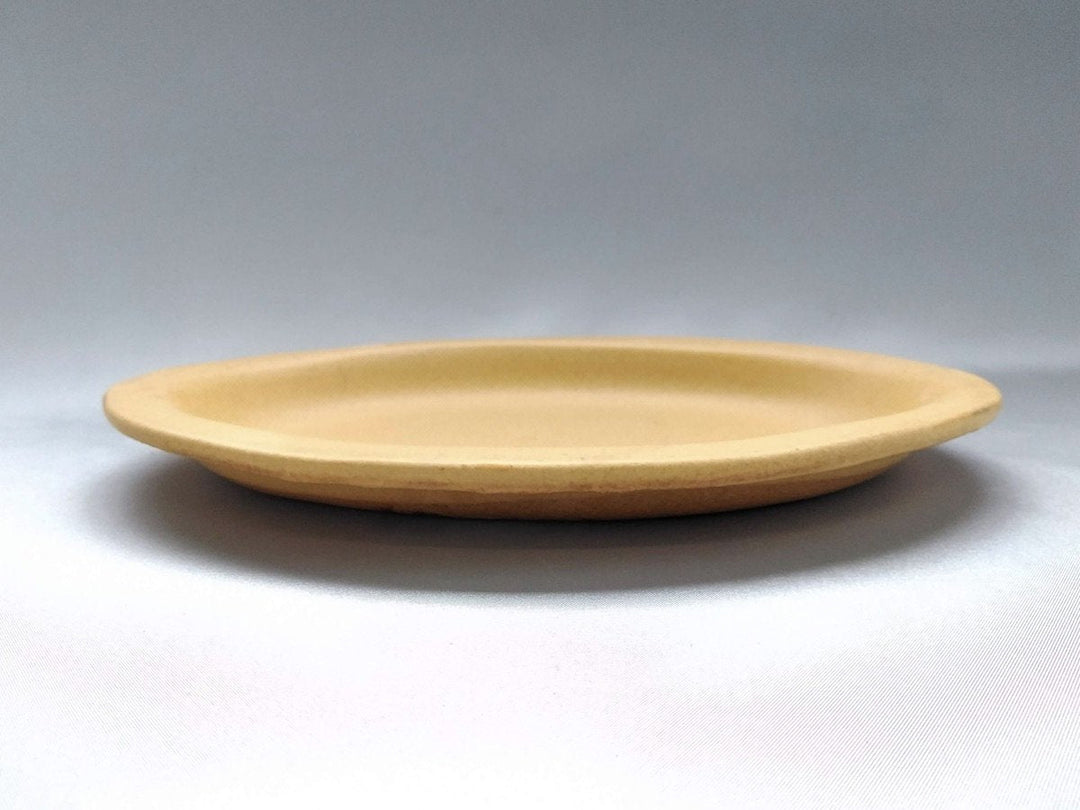Color Matte Oval Plate M Yellow - Crafted By Takuya Ohara