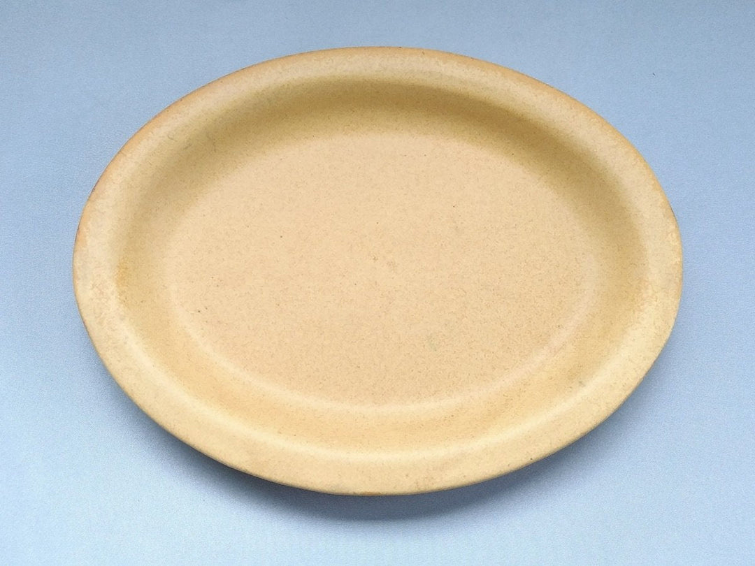 Color Matte Oval Plate M Yellow - Crafted By Takuya Ohara