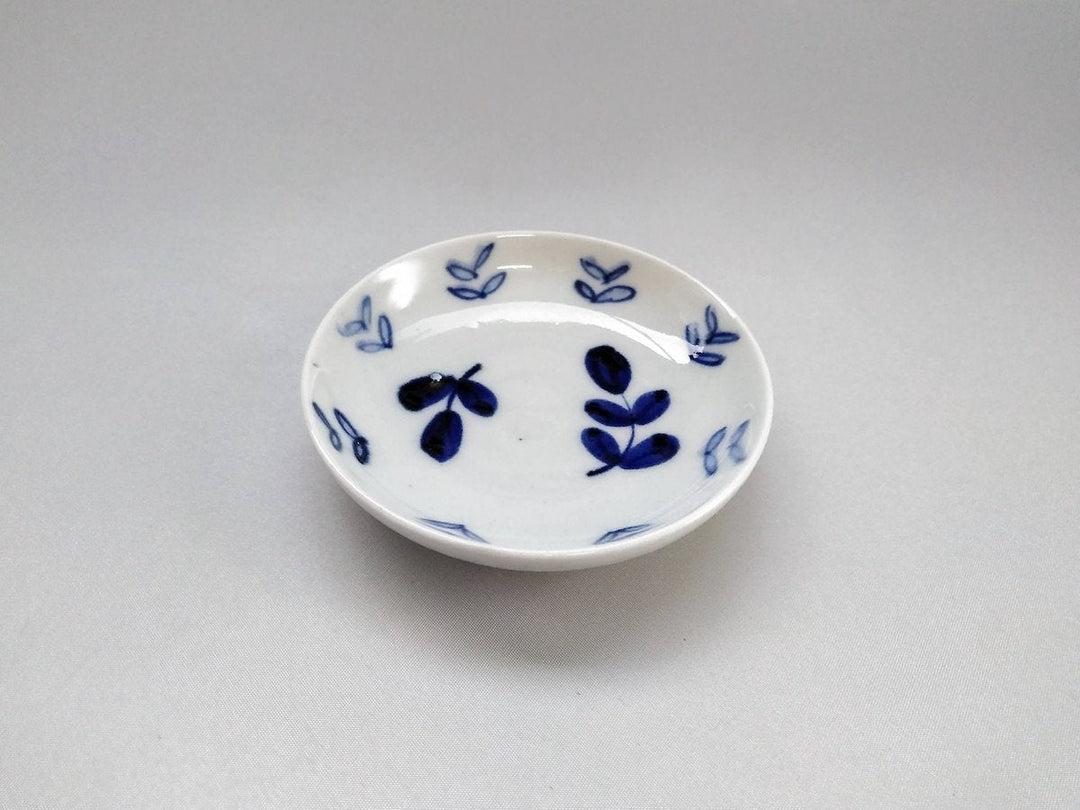 Konoha Small Plate - Crafted By Kousei Kobayashi