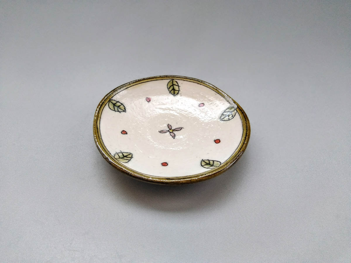 Small Plates (Kozara) | Authentic Japanese Pottery | Japan Classic