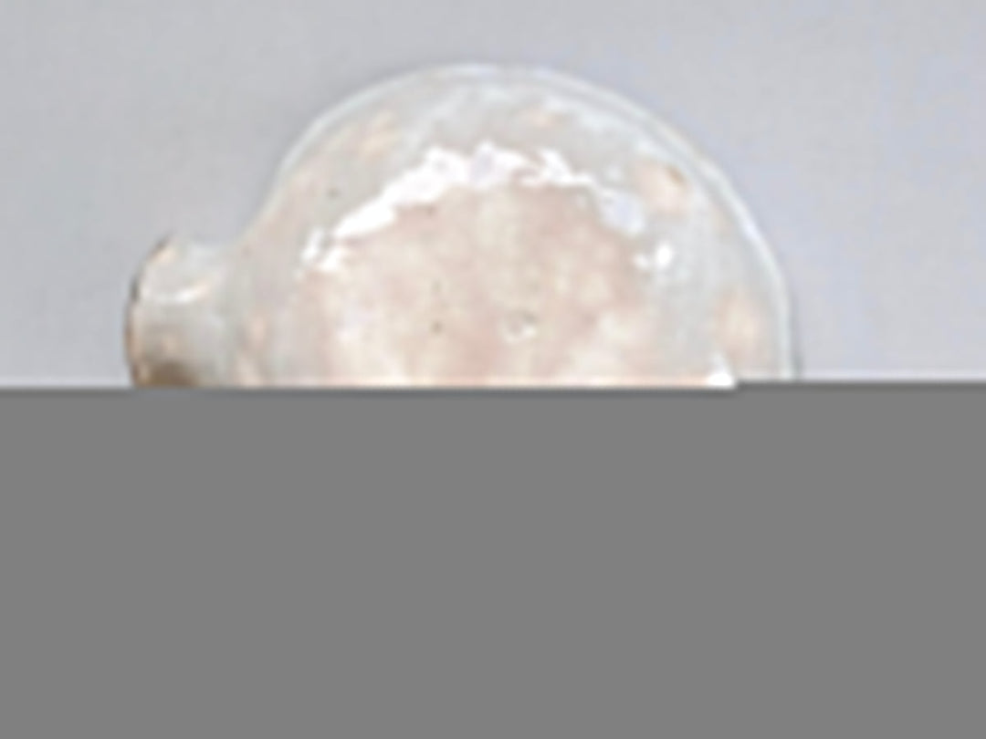 Onion Bowl - Crafted By Hiroyuki Oguri
