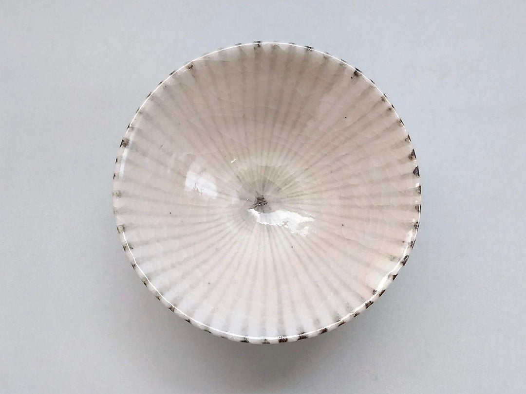 Shino Tokusa Flat Rice Bowl size - Crafted By Shigehisa Miura
