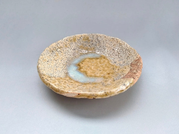 Hagi Ash Glazed 5-Sun Plate - Crafted By Take Kuroda