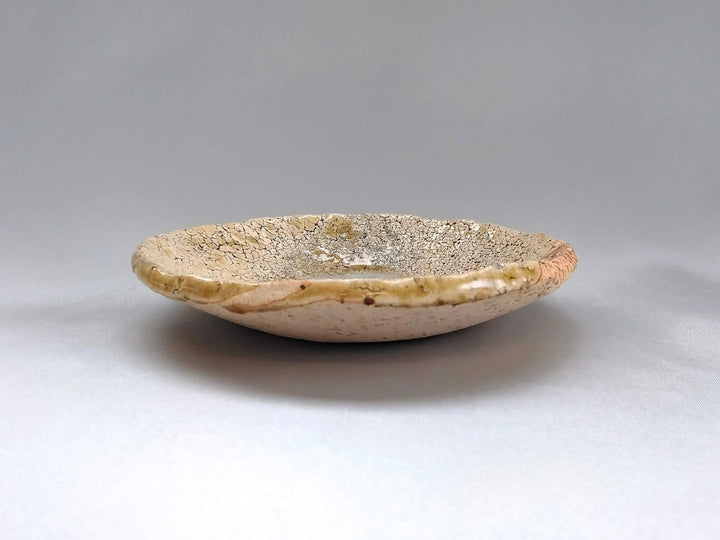 Hagi Ash Glazed 5-Sun Plate - Crafted By Take Kuroda
