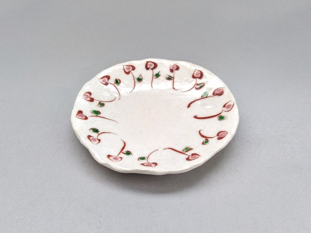Small Plates (Kozara) | Authentic Japanese Pottery | Japan Classic