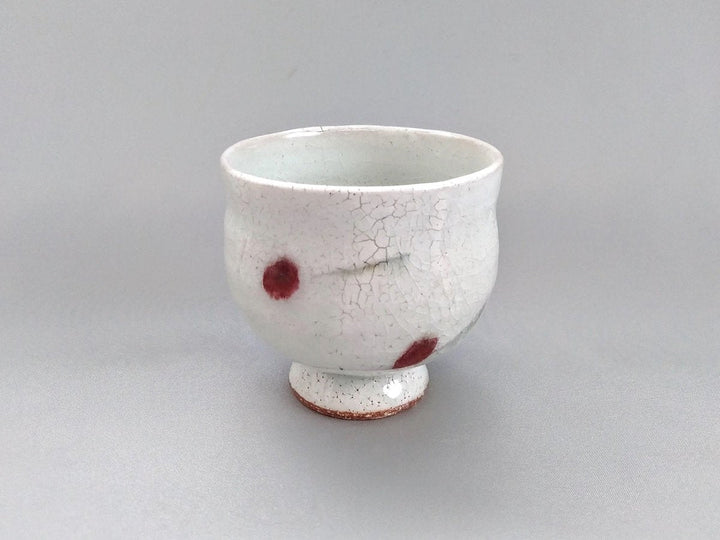 Cherry Takadai Tea Cup - Crafted By Iwao Pottery