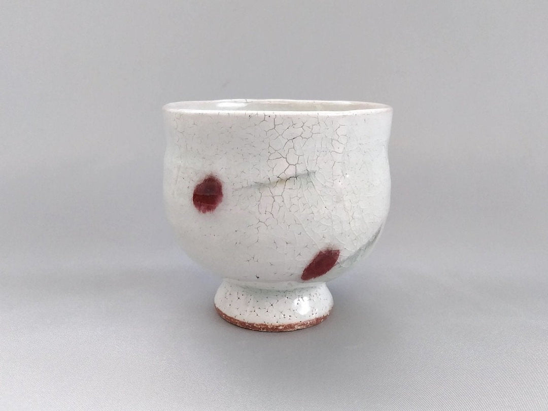 Cherry Takadai Tea Cup - Crafted By Iwao Pottery
