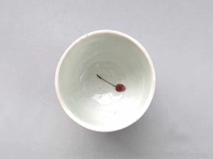 Cherry Takadai Tea Cup - Crafted By Iwao Pottery