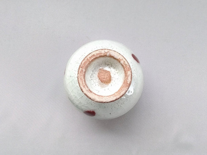 Cherry Takadai Tea Cup - Crafted By Iwao Pottery