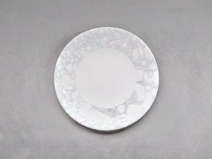 Gray Shino foam 16.5cm Plate - Crafted By Yamahira Kiln