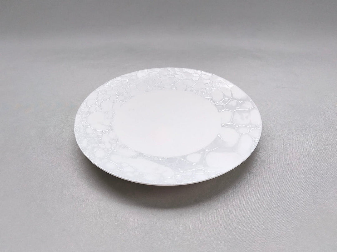 Gray Shino foam 16.5cm Plate - Crafted By Yamahira Kiln