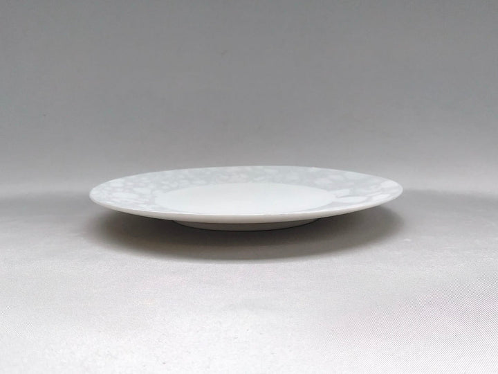 Gray Shino foam 16.5cm Plate - Crafted By Yamahira Kiln