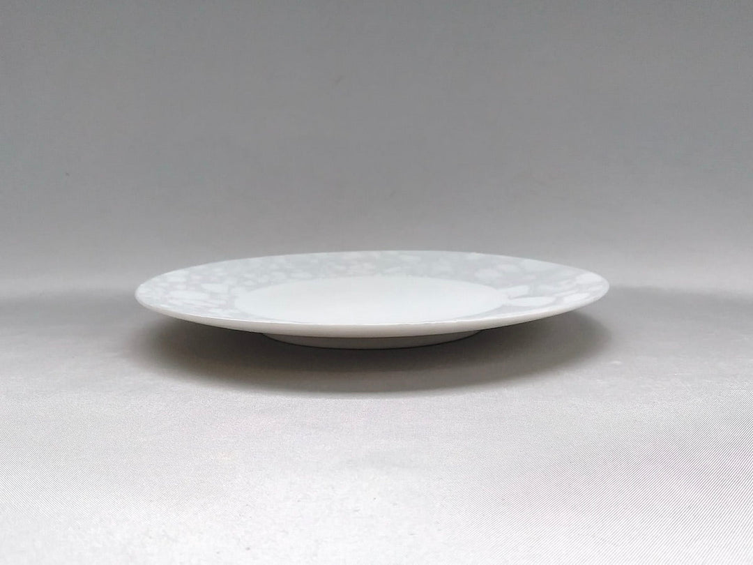 Gray Shino foam 16.5cm Plate - Crafted By Yamahira Kiln